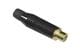 Amphenol Audio ACJR-BLK