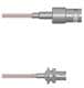 Amphenol Custom Cable Q-030040005012i