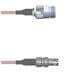 Amphenol Custom Cable Q-2000Q0005012i